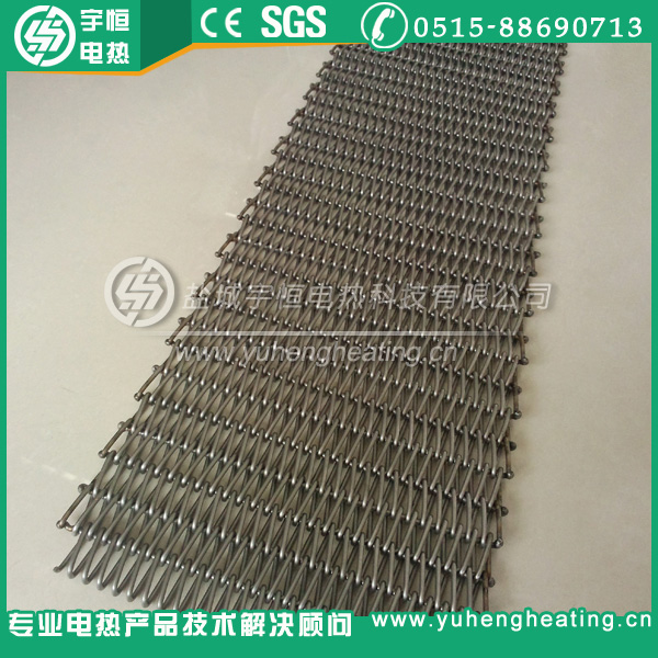 熱處理爐進口SUS310S網(wǎng)帶